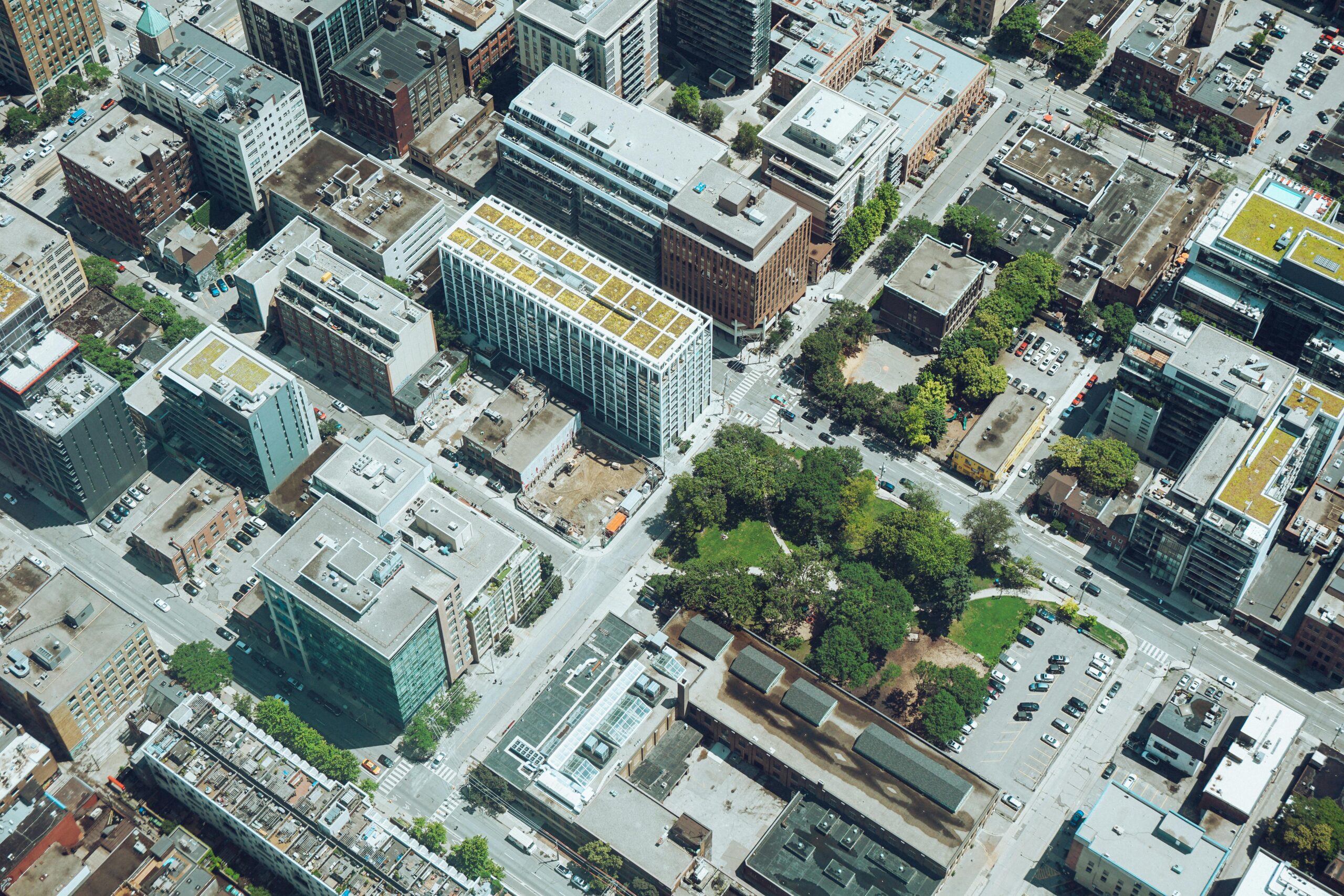 Local growth