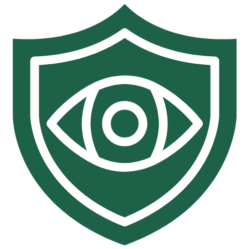 Vision